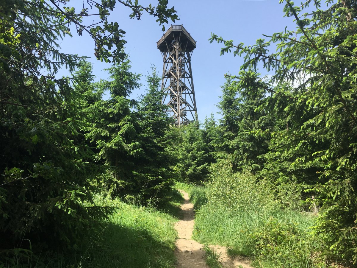 Damberg 2019